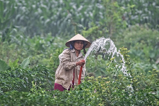 Consumo de agua en sembradíos