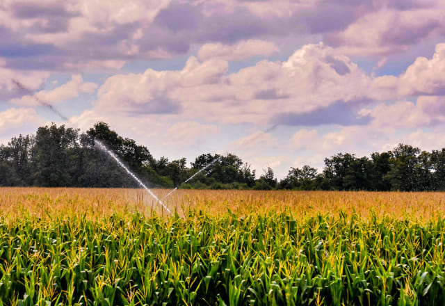 Uso agricola del agua