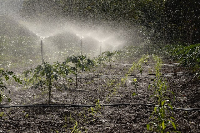 Uso agrícola del agua