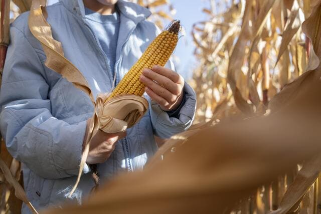 Uso de la tecnología en la agricultura