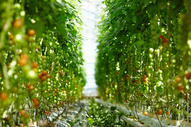 tipos de tecnología en la agricultura 