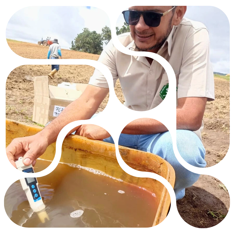 Desinfectante agrícola en agua de riego