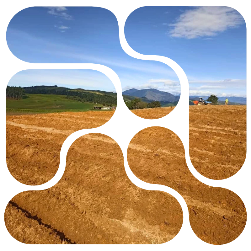 Polímero estabilizador de suelo