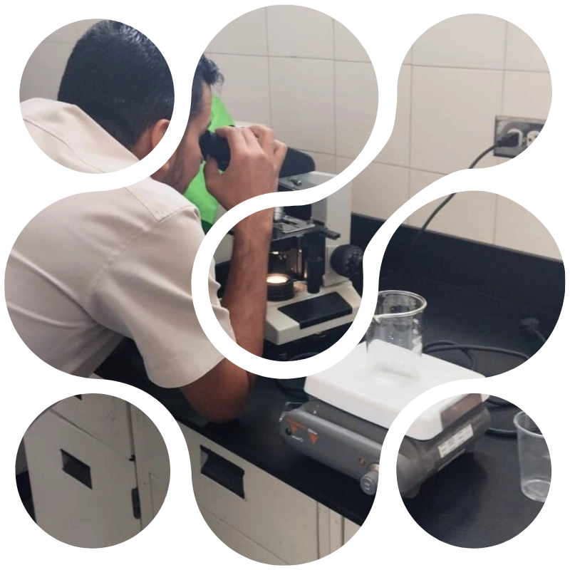 Análisis alcohol isopropílico