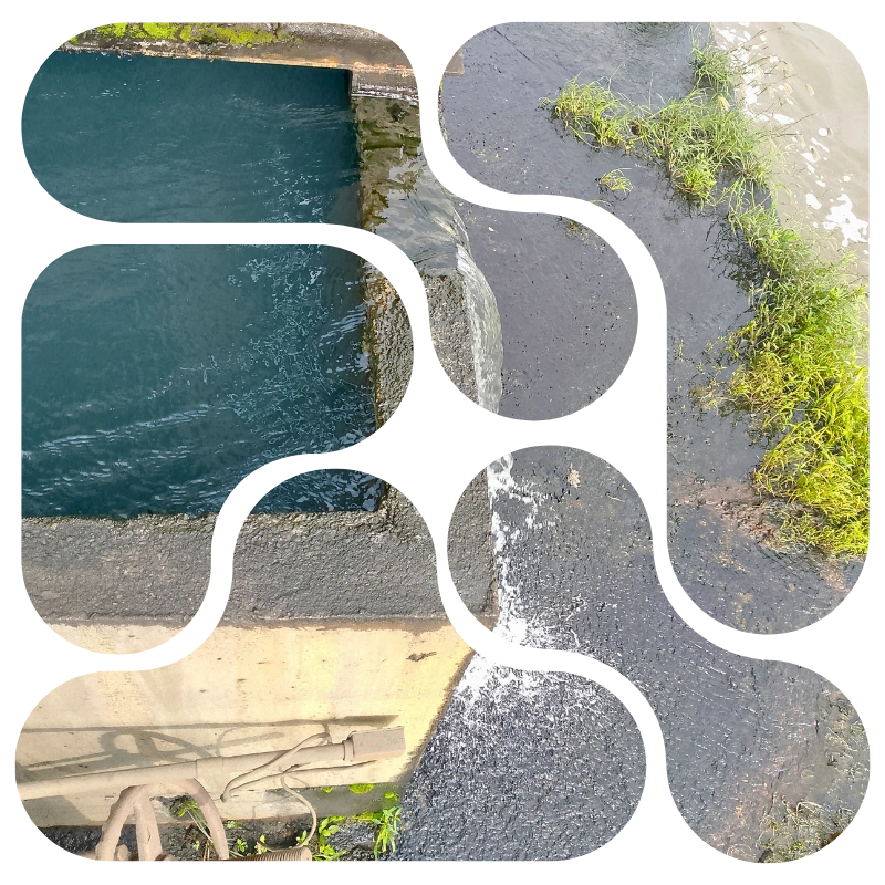 Bactericidas en plantas de tratamiento